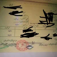 شناسنامه گمشده