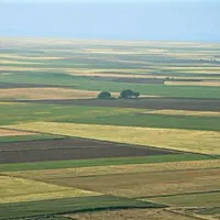 زمین-کشاورزی-مابین-قبرستان-کامیاران-و-شیروانه