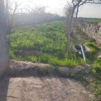 باغ