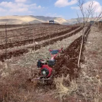 شخم تیلرسمپاشی علفتراشی چاله درخت چالکود هرس