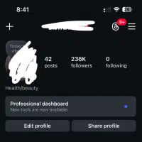 پیج ۲۳۶ کا