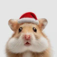 آف ۵۰٪ همه روزه پانی پت همستر سوری کمپل