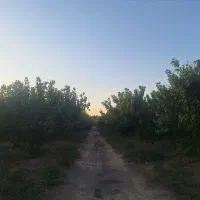فروش ۲هکتار