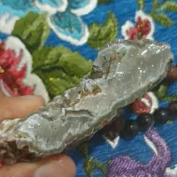 یک کلوخه شجر برفی حاشیه
