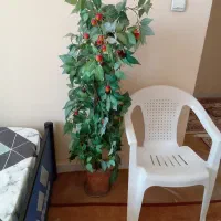 گل مصنوعی دو عدد