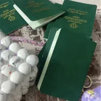 ویزای کاری ترکیه برای اتباع