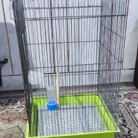 قفس بزرگ عروس هلندی