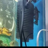 ۶ تا کت چوبی سایز ۱۰ تا ۱۵ سانت