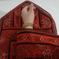 کریشی سرای یاس