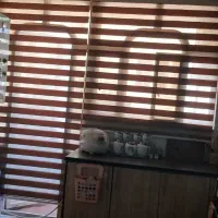 پرده زبرا