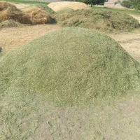 یونجه پرس شده