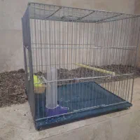 قفس پرنده