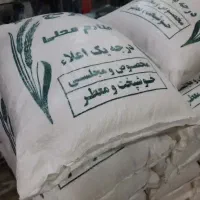 هاشمی عطری بدون واسطه از شالیکار