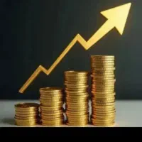 ۱۰عددربع سکه پلمپ قم