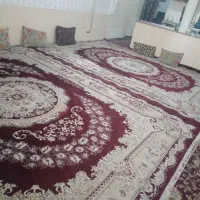 سوییت  دربست