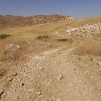 فروش کاه  چهار انبار