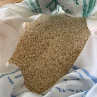 برنج هاشمی اعلا