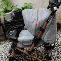 کالسکه دلیجان طوسی