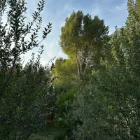 نیازمند کارگر جهت آبیاری باغ