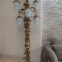 کنارسالنی