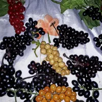 گل و میوه مصنوعی