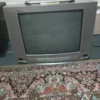 تلویزیون