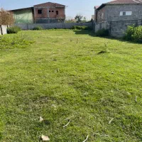 فروش زمین در هادی شهر