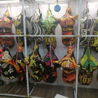 استان نی انبان