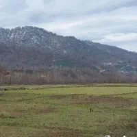 خاک مرغوب