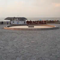 جنگل درنیکا و ساحل کاسپین