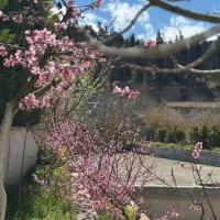 استخدام کارگر شبانه روزی باجای خواب