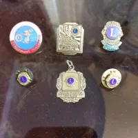 مدال لاینز