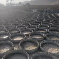 دس و سری چاه