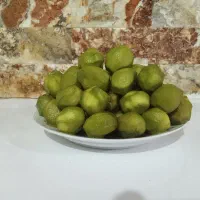 مربا