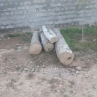 فروش وبرش همه نوع چوب ودرخت