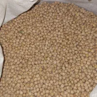 نخود سفید کرمانشاهی