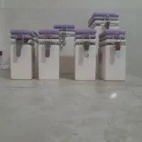 پاسماوری