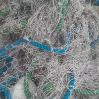 طور ماهیگیری ۳۰ متر