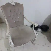 ۸نفره|مبلمان خانگی و میز عسلی|مشهد, شهید فرامرز عباسی|دیوار