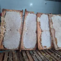 عسل سرابی|عمدهفروشی|قم, صفائیه|دیوار