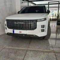 لوکانو سفید متالیک شخصی خوش قیمت با ۲۰۰ م لوازم