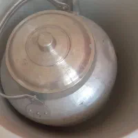 کلمن درحدنو کتری درحد