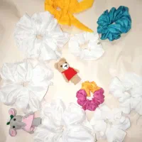 گیره و کش مو مجلسی