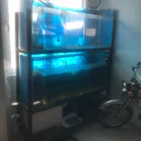 اکواریوم حرفه ای