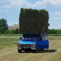 یونجه و شبدر