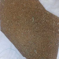 تخم یونجه