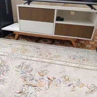 زیر تلویزیونی