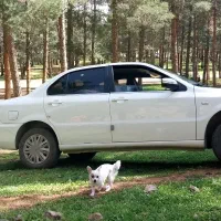 آگهی شخصی سورن پلاس ۱۴۰۴ دریچه سیمی