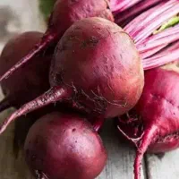 چغندر قرمز شیرین