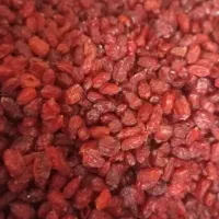 زرشک بیرجند قرمز ارگانیک